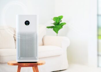 Air Purifier Buying Guide for Allergies