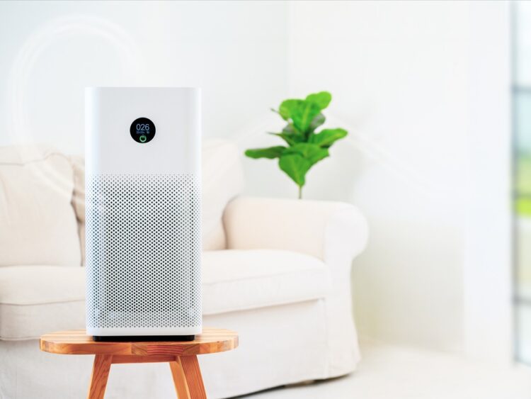 Air Purifier Buying Guide for Allergies